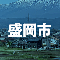 盛岡市で借りれる不動産担保ローン